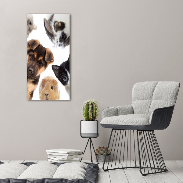 Large canvas wall art Pets