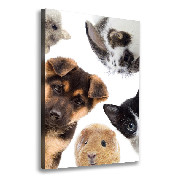 Large canvas wall art Pets