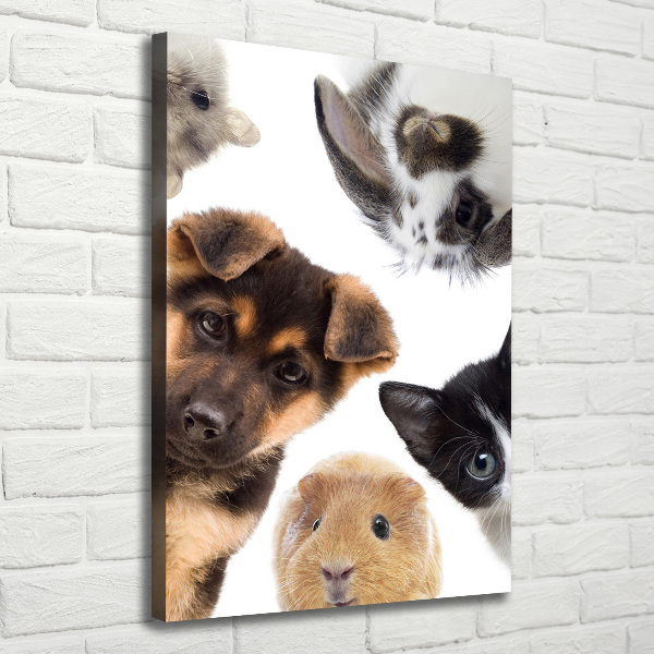 Large canvas wall art Pets