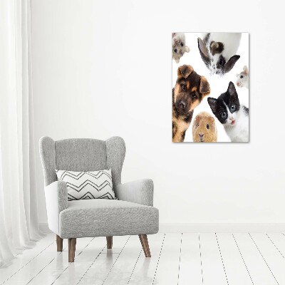 Large canvas wall art Pets