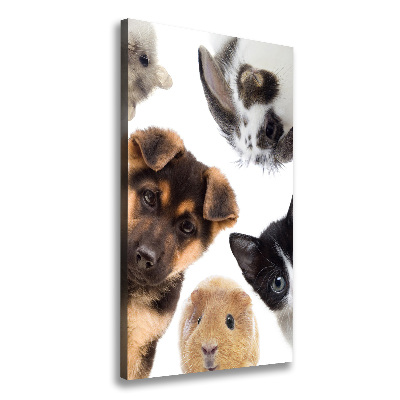 Large canvas wall art Pets