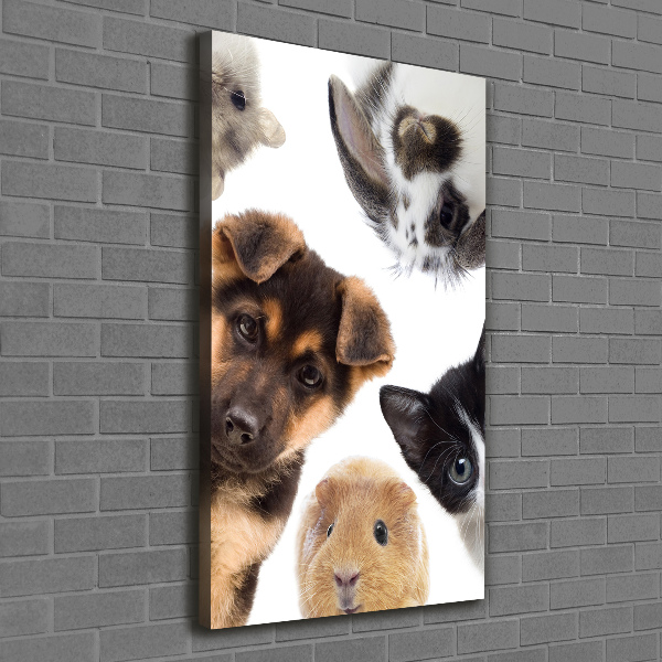 Large canvas wall art Pets