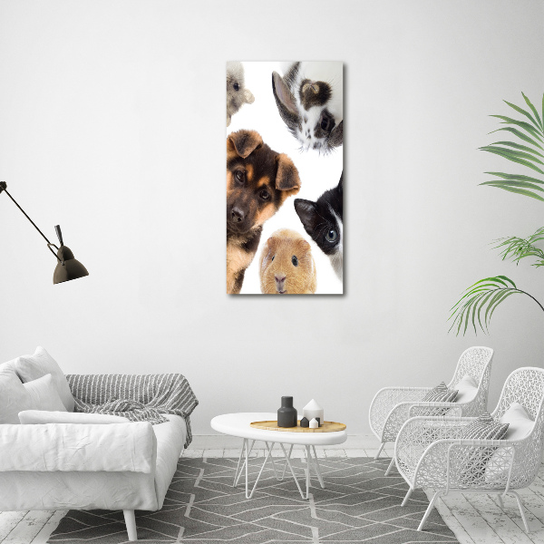 Large canvas wall art Pets