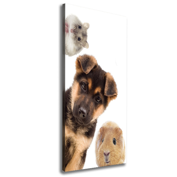 Large canvas wall art Pets