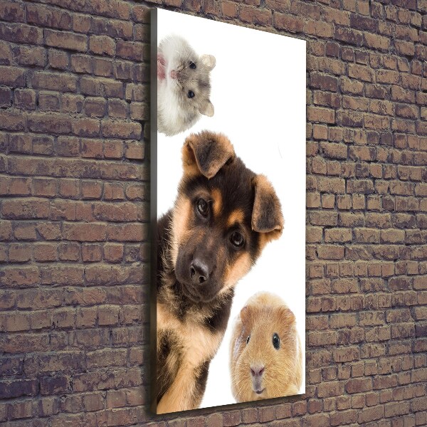 Large canvas wall art Pets