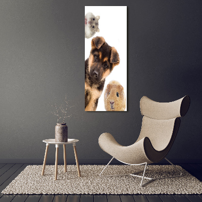 Large canvas wall art Pets