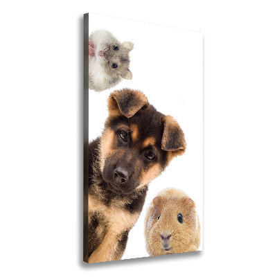 Large canvas wall art Pets