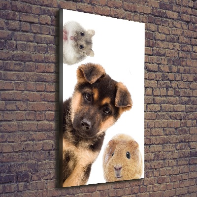 Large canvas wall art Pets