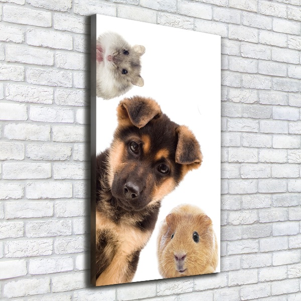 Large canvas wall art Pets