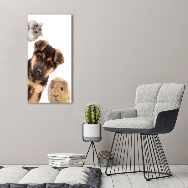 Large canvas wall art Pets