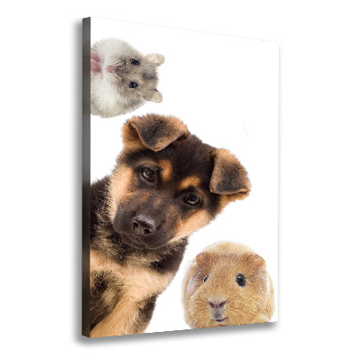 Large canvas wall art Pets