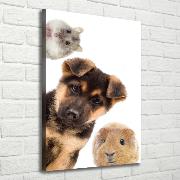 Large canvas wall art Pets