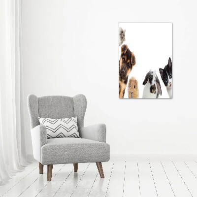 Large canvas wall art Pets