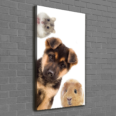 Large canvas wall art Pets