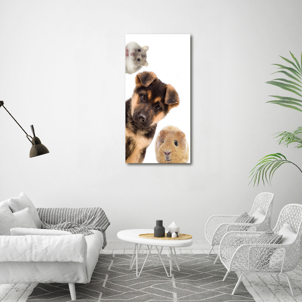 Large canvas wall art Pets