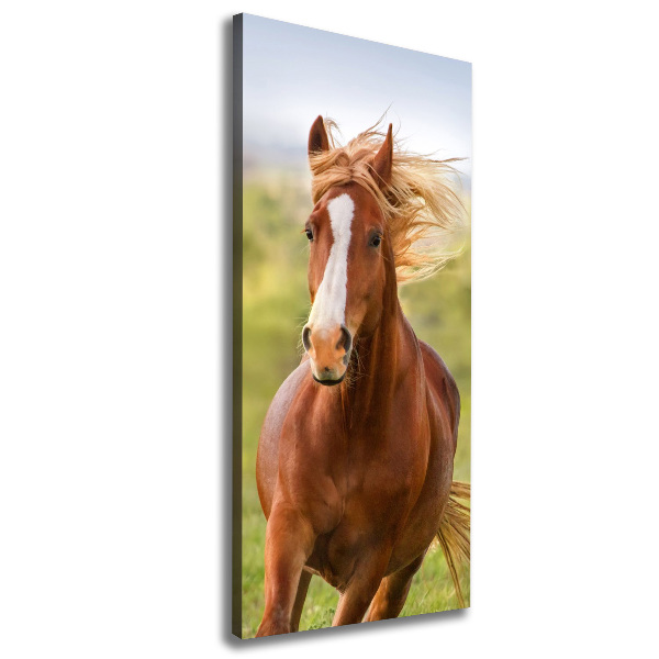 Canvas print Horse at a gallop