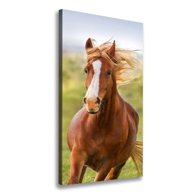 Canvas print Horse at a gallop