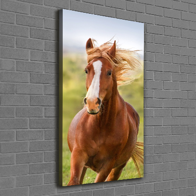 Canvas print Horse at a gallop