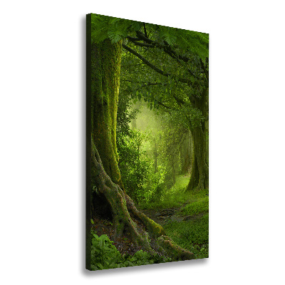 Canvas wall art Tropical jungle