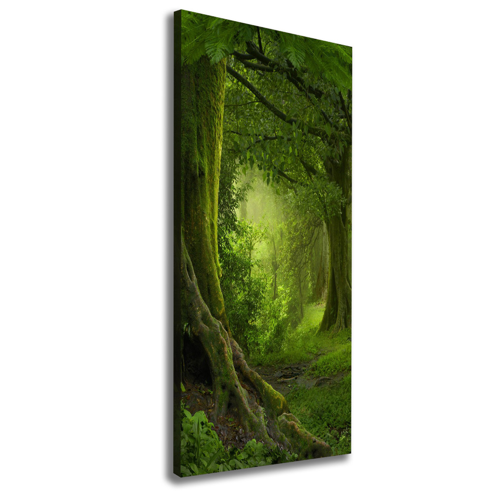 Canvas wall art Tropical jungle