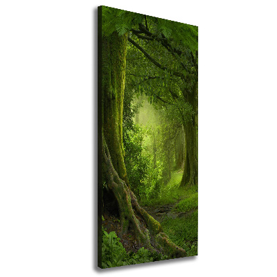 Canvas wall art Tropical jungle