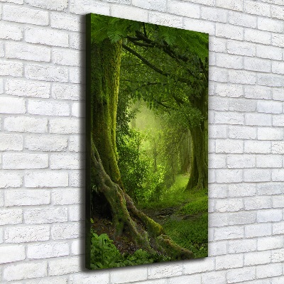 Canvas wall art Tropical jungle