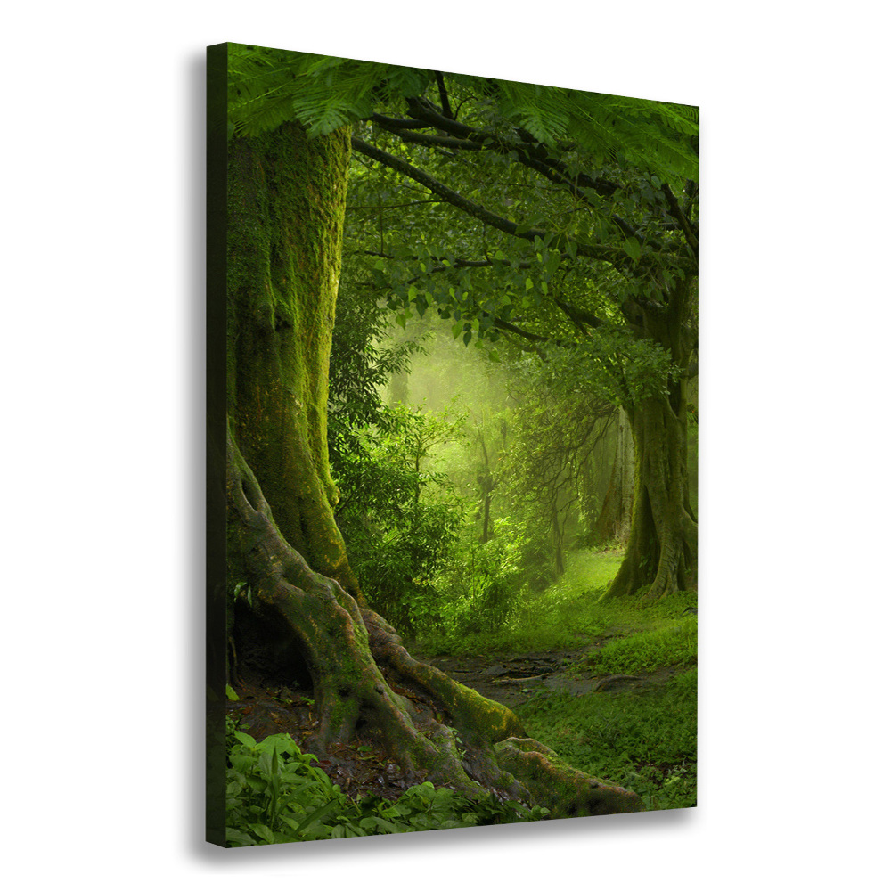 Canvas wall art Tropical jungle