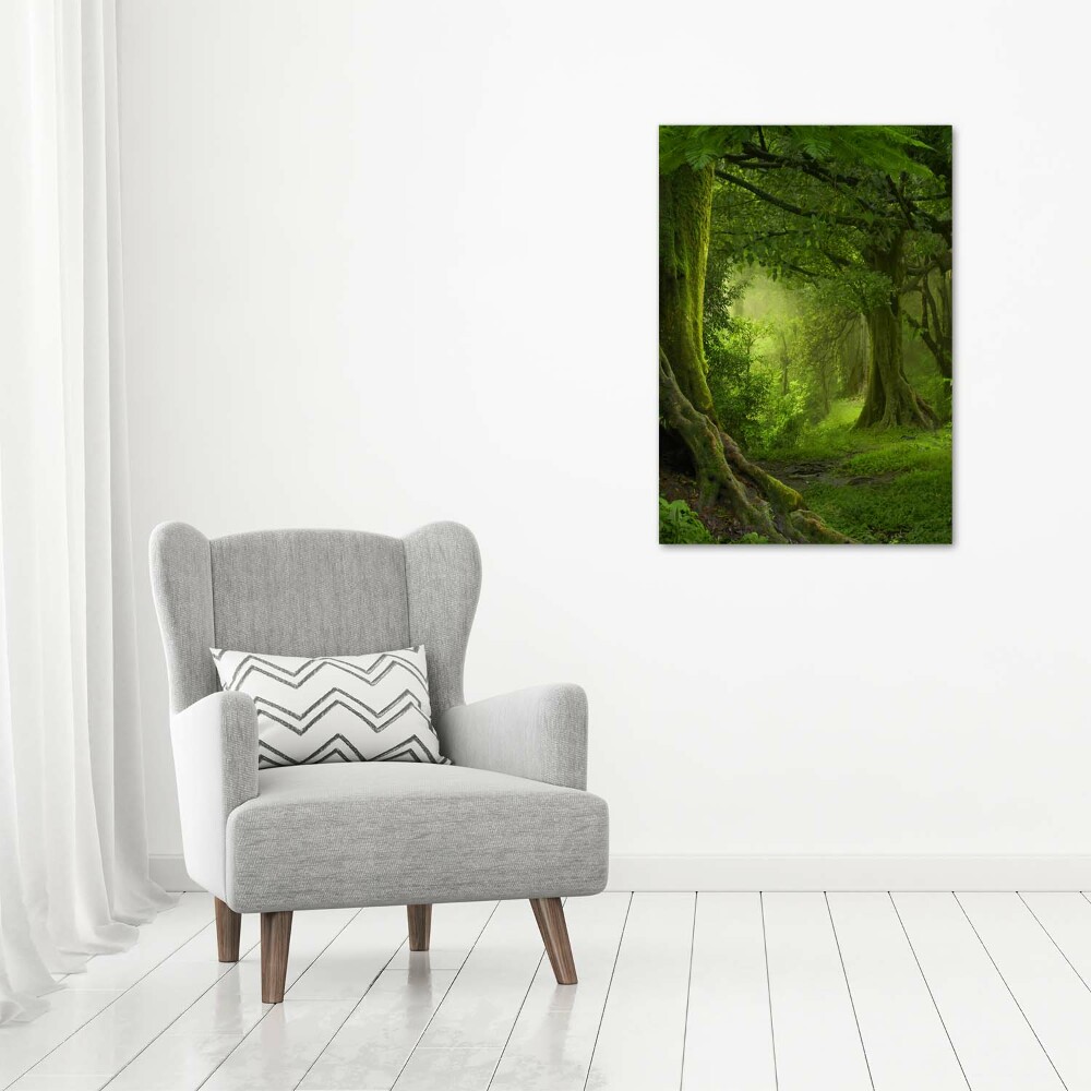 Canvas wall art Tropical jungle