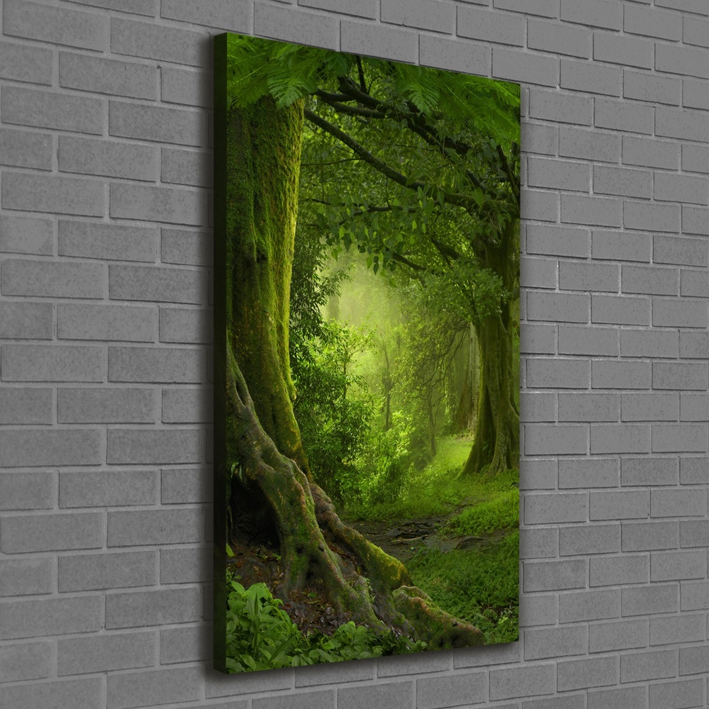 Canvas wall art Tropical jungle