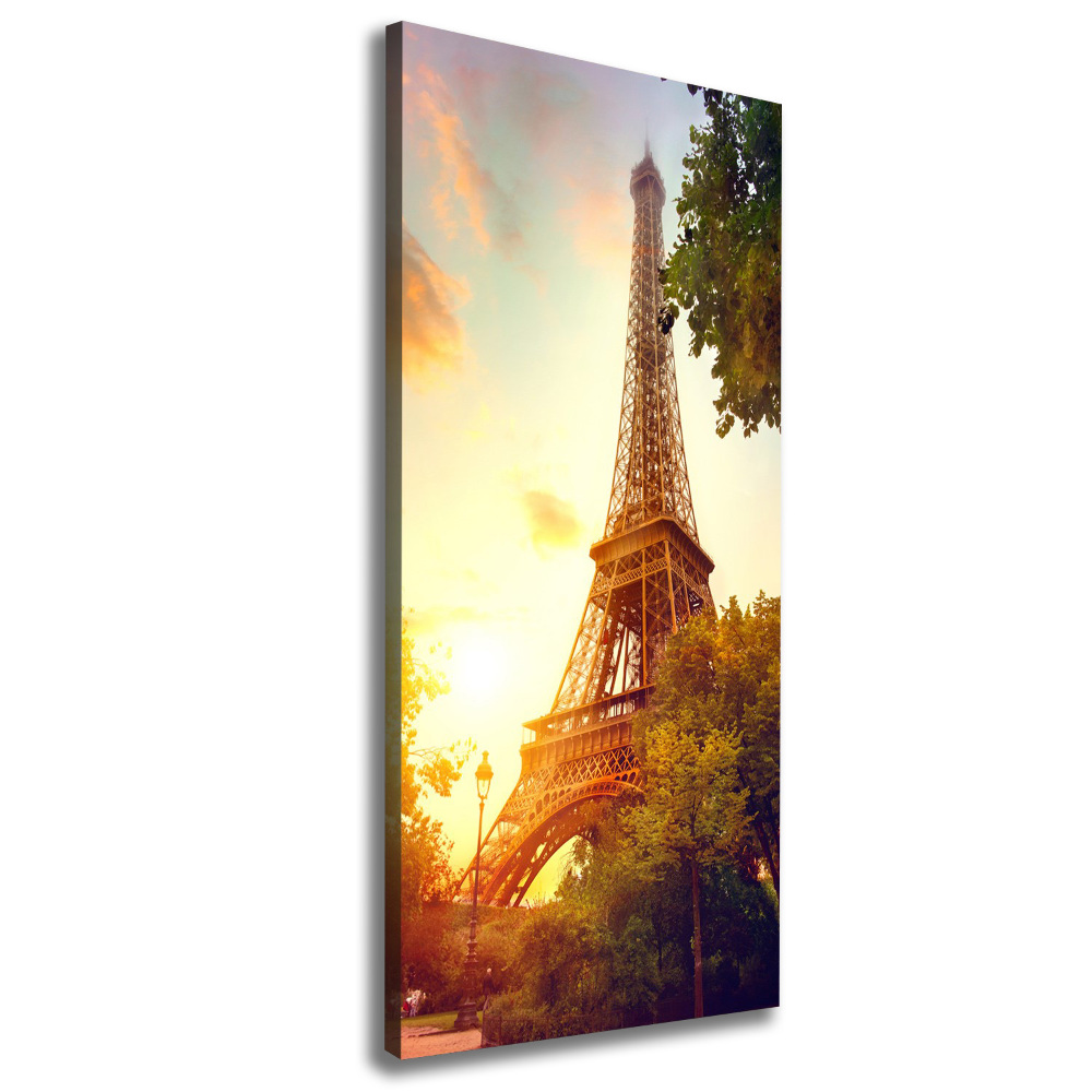 Picture canvas print Eiffel Paris tower