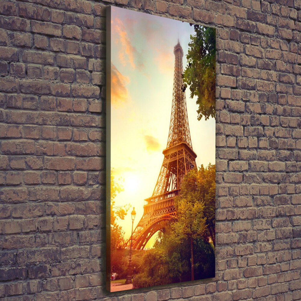 Picture canvas print Eiffel Paris tower