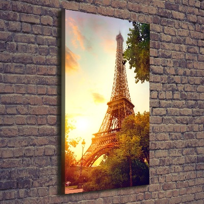 Picture canvas print Eiffel Paris tower