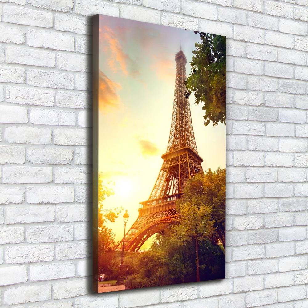 Picture canvas print Eiffel Paris tower