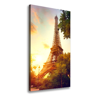 Picture canvas print Eiffel Paris tower