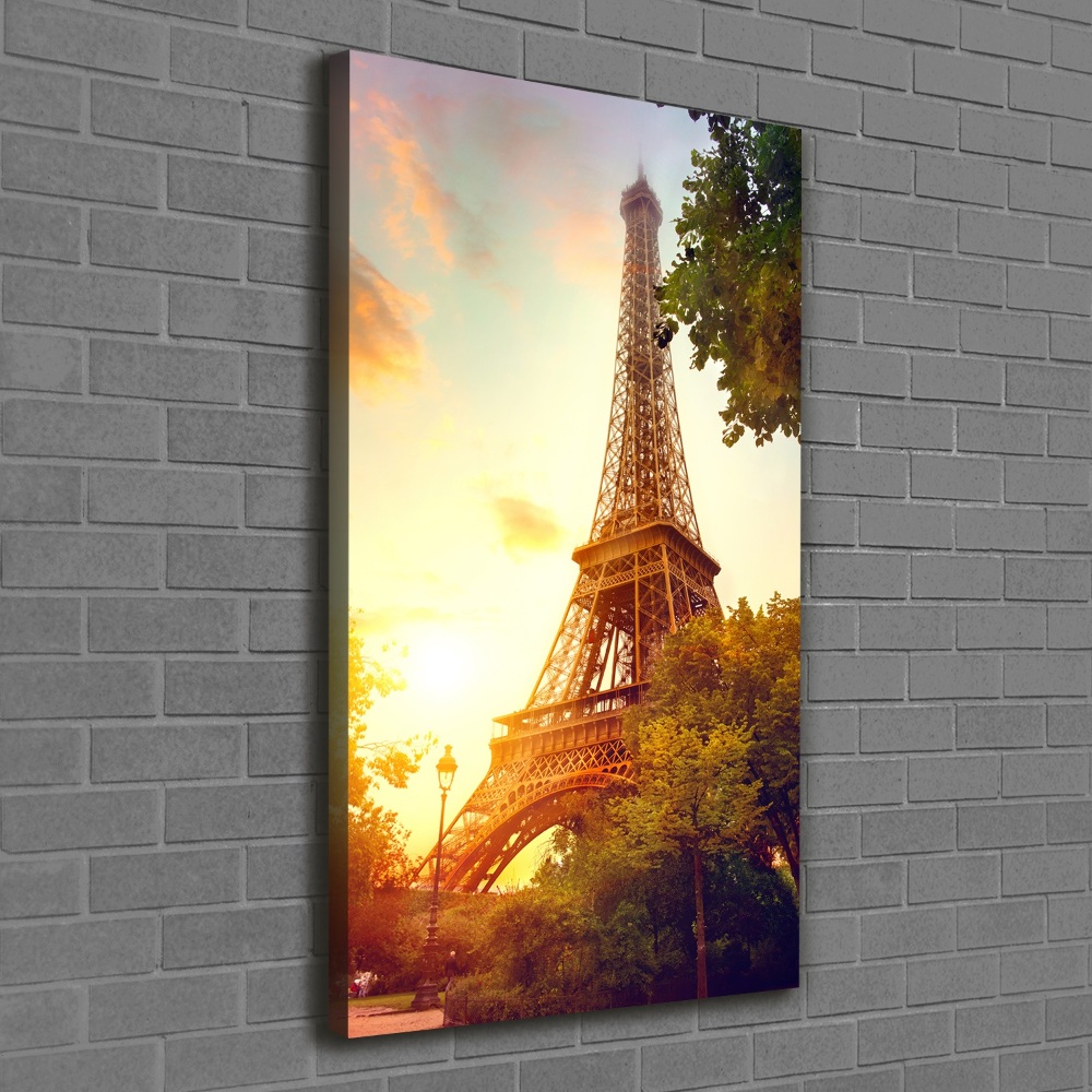 Picture canvas print Eiffel Paris tower