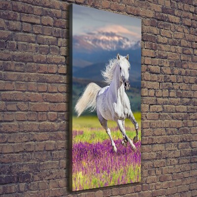 Canvas wall art White horse at a gallop