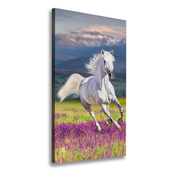 Canvas wall art White horse at a gallop