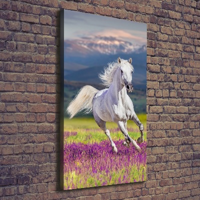 Canvas wall art White horse at a gallop