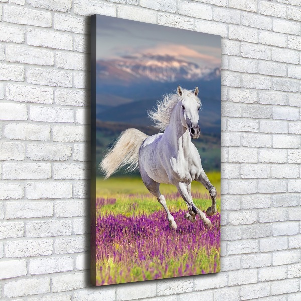 Canvas wall art White horse at a gallop