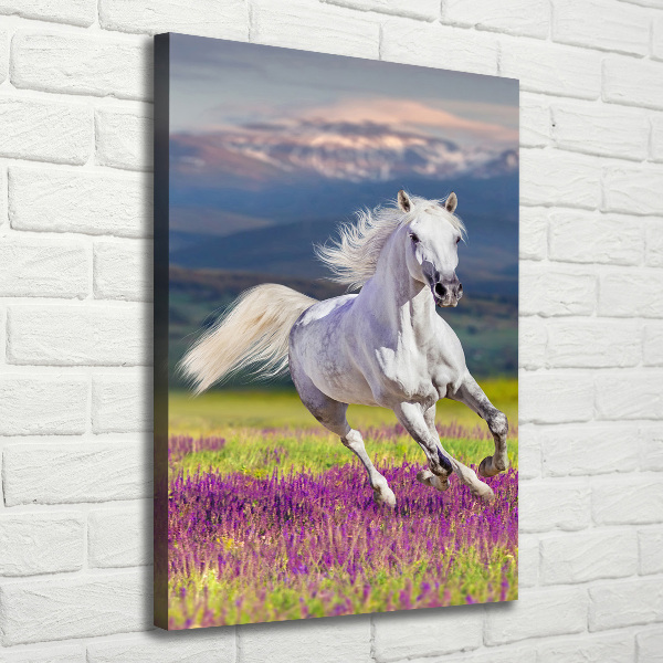 Canvas wall art White horse at a gallop