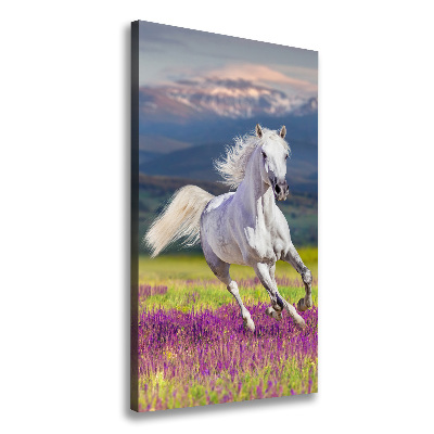 Canvas wall art White horse at a gallop