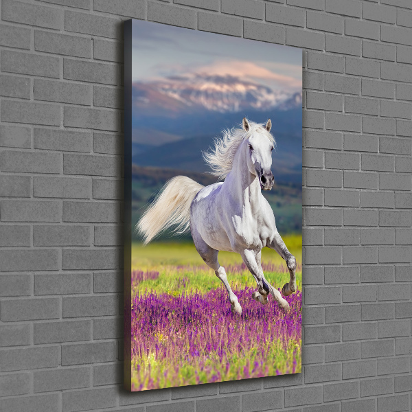 Canvas wall art White horse at a gallop