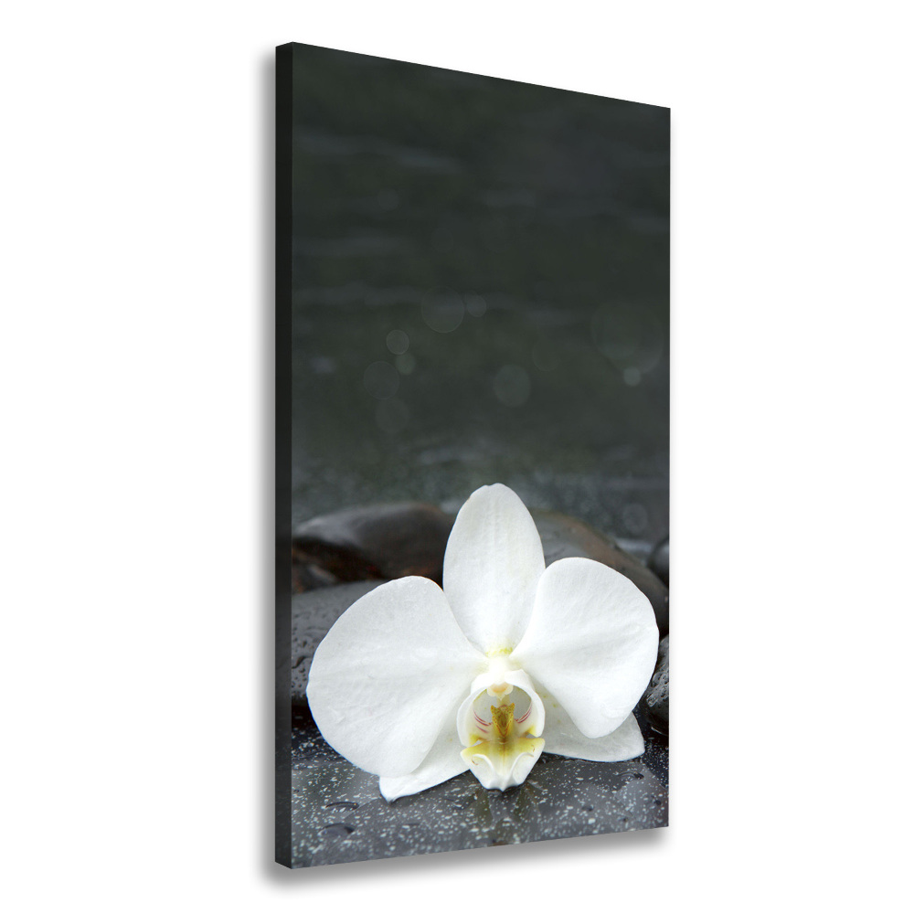 Wall art canvas large Orchid stones