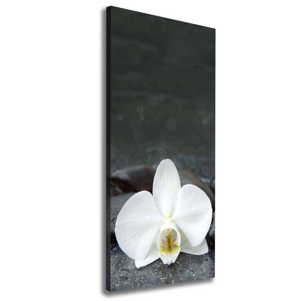 Wall art canvas large Orchid stones