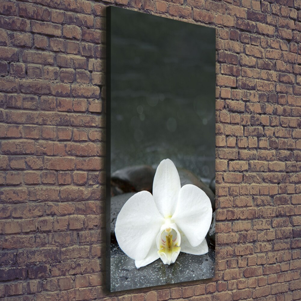 Wall art canvas large Orchid stones