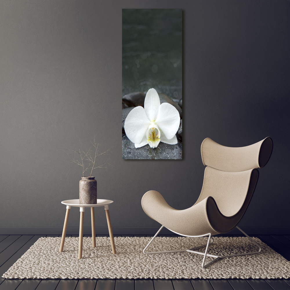 Wall art canvas large Orchid stones