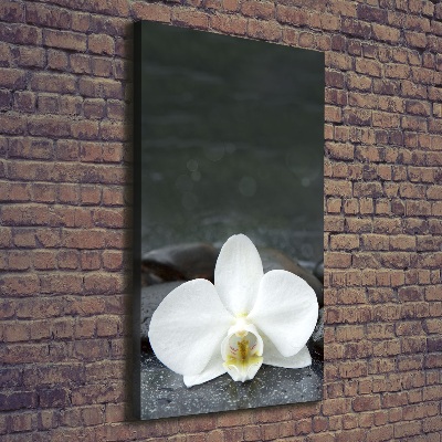 Wall art canvas large Orchid stones