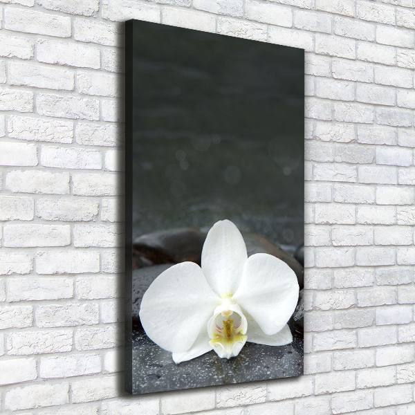 Wall art canvas large Orchid stones