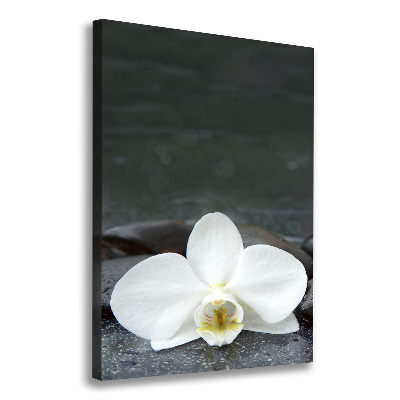 Wall art canvas large Orchid stones