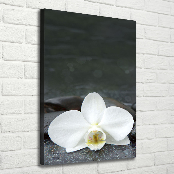 Wall art canvas large Orchid stones